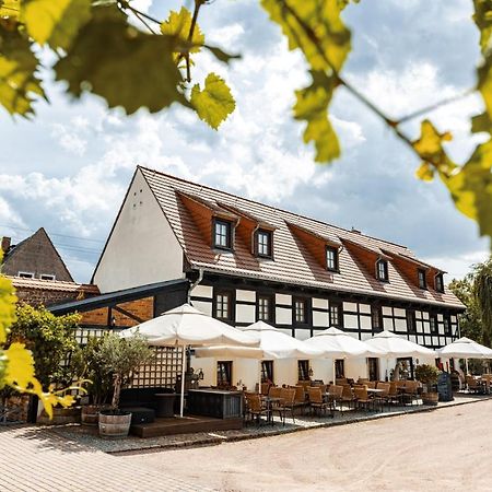 Weingut Schuh - Pension Zur Bosel Coswig  Exterior foto